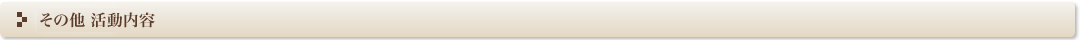その他 活動内容